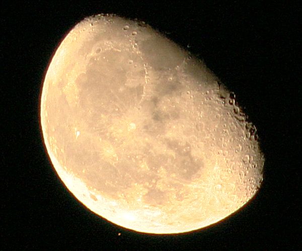 �A���^���X�̐H�i�����j