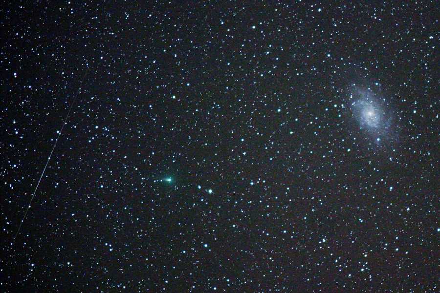 ���j�A�a���iC/2002T7�j�Ƃl�R�R�Ɨ���