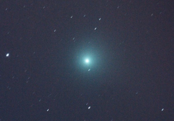 �}�b�N�z���c�a���iC/2004Q2�j 2004.12.12