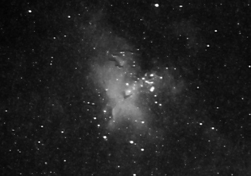 R64�t�B���^�ŎB�e�����l�P�U��R�摜