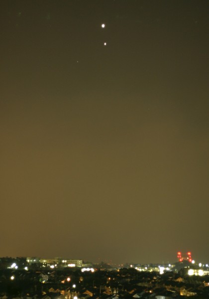 �����Ɩؐ��i50mm�j