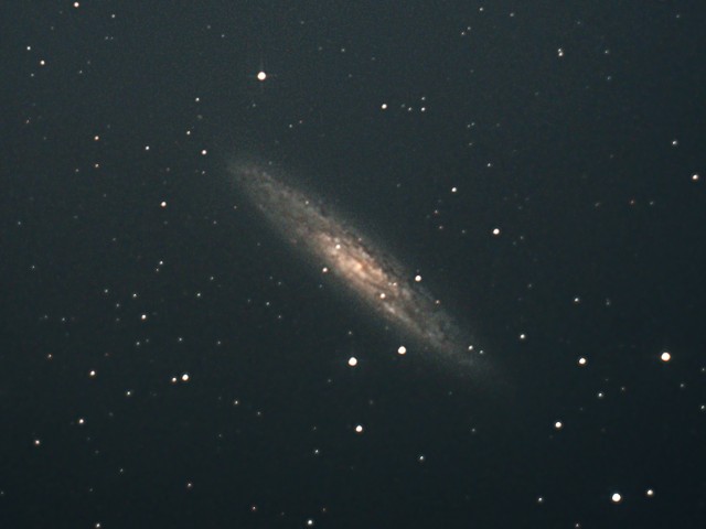 NGC253