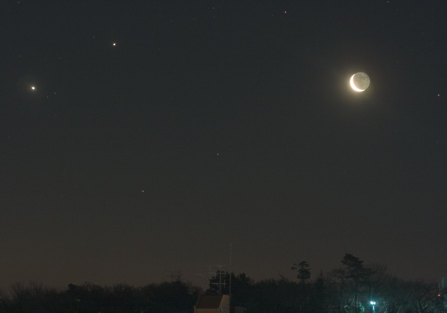 ���Ƌ����Ɩؐ��i2008.02.04�j 100mm