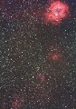 バラ星雲の南側