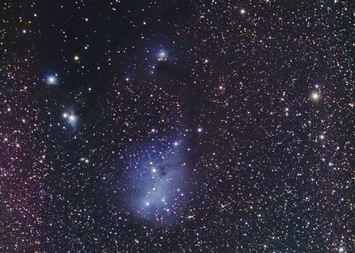 �r�؍��_���ŎB�e����IC2169