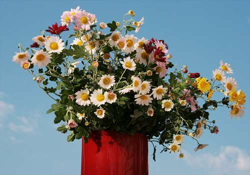 ��������Canon EOS DX�ŎB�e�����摜