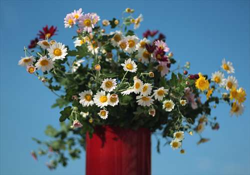 ����EOS Kiss X2�{���[�p�X�t�B���^�[�̉摜