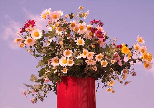 ����EOS Kiss X2 �ɂ��Ԃ̉摜