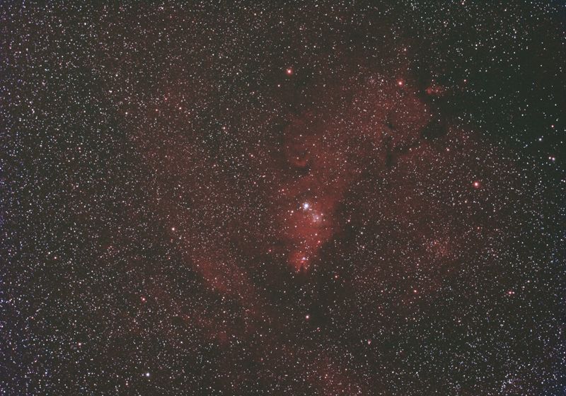 �����������イ���̐��_