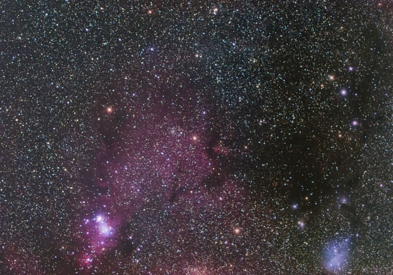 IC2169���Ӊ摜