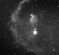 H-alpha 7nmで撮影したオリオン座の南半分