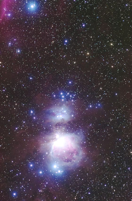 �I���I�����_�Ƃ��̎��Ӊ摜