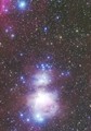 オリオン星雲とその周辺の星雲