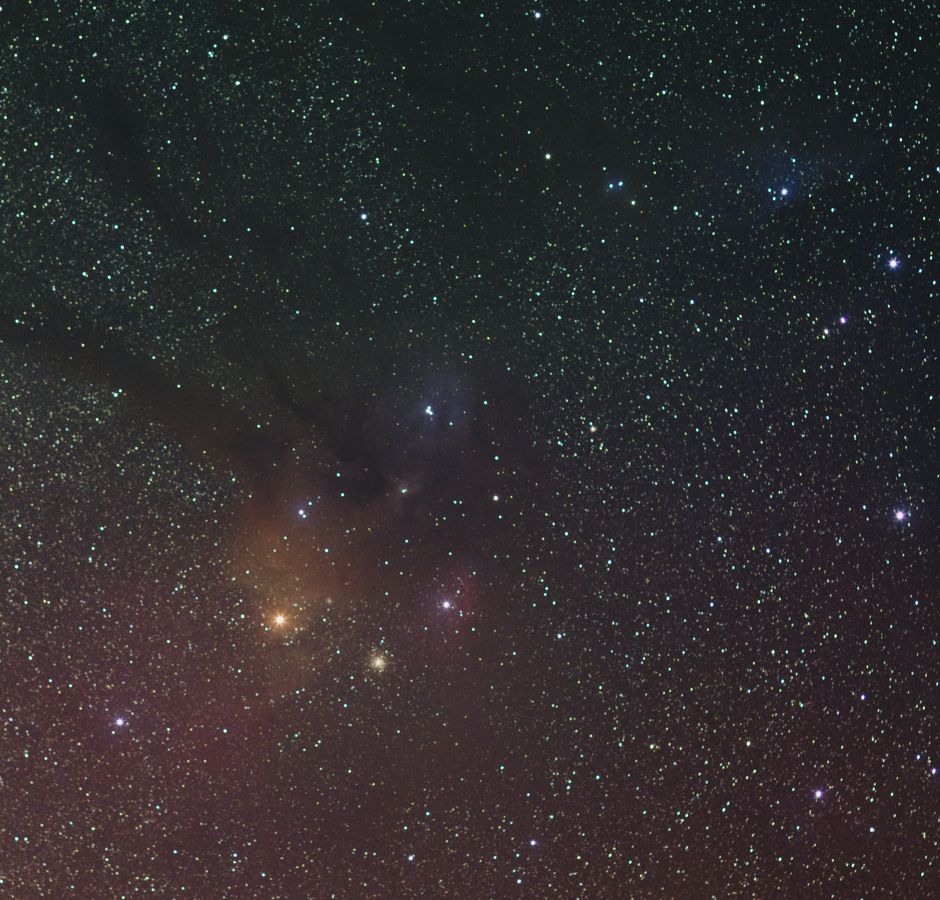 ��������̓���