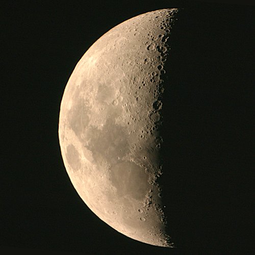 ����V�̌�