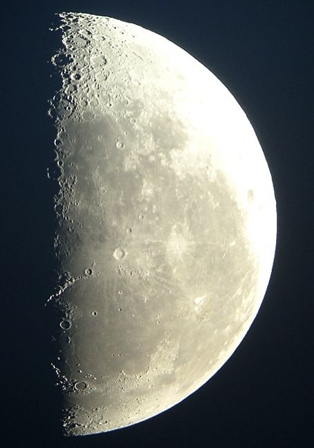 �����̌�