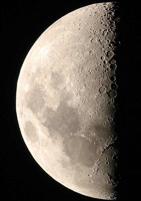 EOS-10D�ɂ��㌷�̌�