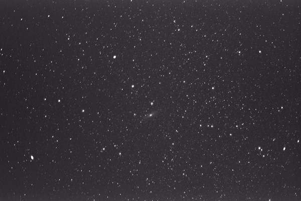 �A���h�����_���Ƃl�R�P