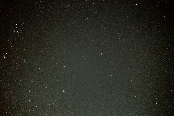 ���q���Ɖΐ�