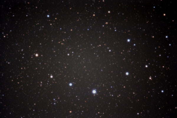 ����ނ��