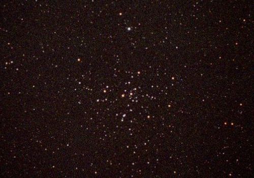 �≖�t�B�����ɂ��l�S�P