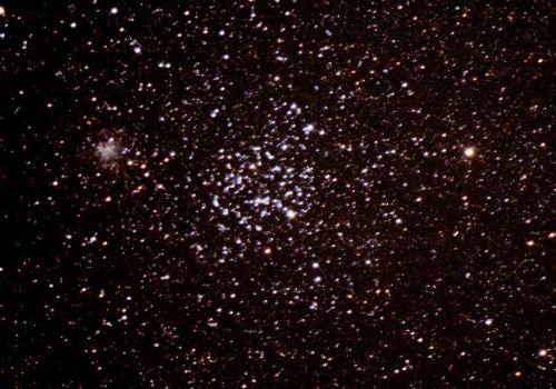 �≖�t�B�����ɂ��l�R�T