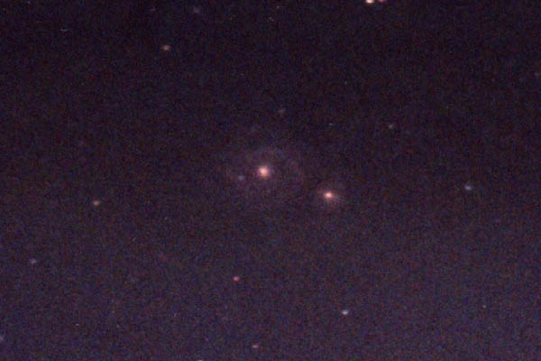 ��傤��������F�� �l�T�P