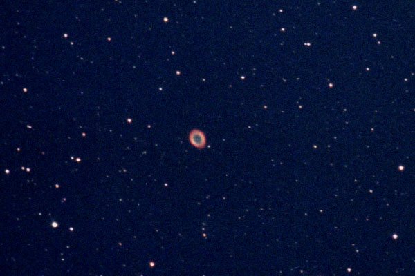 ���ƍ��f���󐯉_ �l�T�V