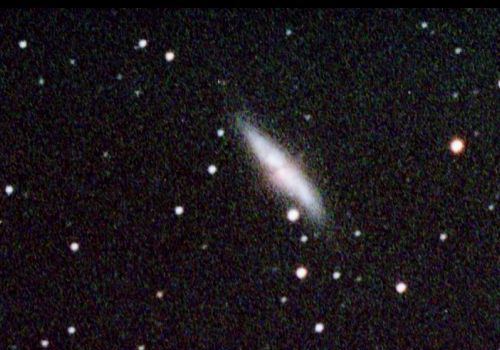 �������܍����F�� �l�W�Q