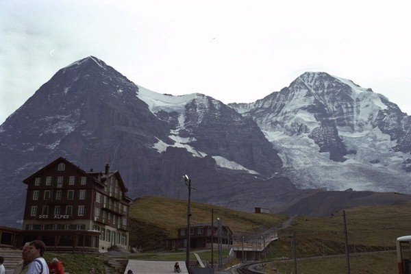 �����O�t���E�S�i