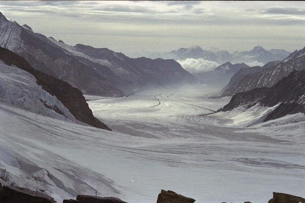 �����O�t���E�̒�����̕X��