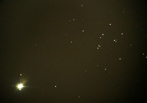 �ؐ� �� ���ɍ��̎U�J���c �v���Z�y�i�l�S�S�j