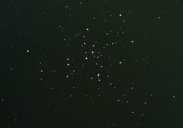 �J�V�I��QV3500EX�ɂ��l�S�P