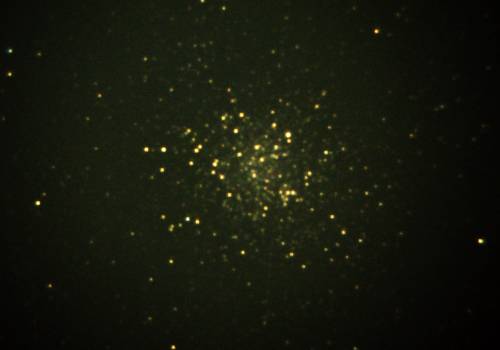 �J�V�I��QV3500EX�ɂ��l�Q�Q