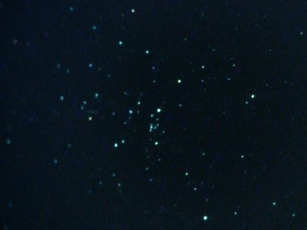 ���č��̎U�J���c M25