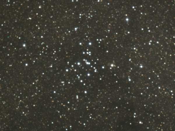 ��������̎U�J���c �l�V