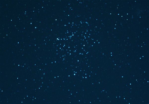 FujiFilm FinePix S2Pro�ɂ��l�R�T