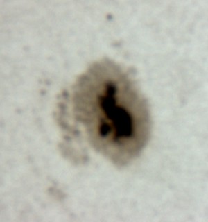 ���z���_