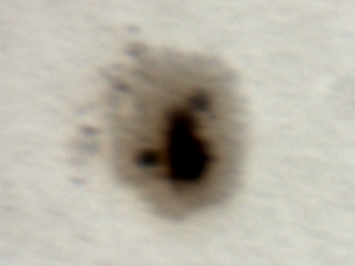 ���z���_