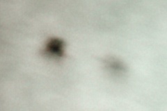 ���z���_