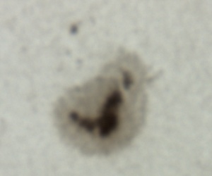 ���z���_