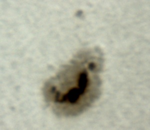 ���z���_