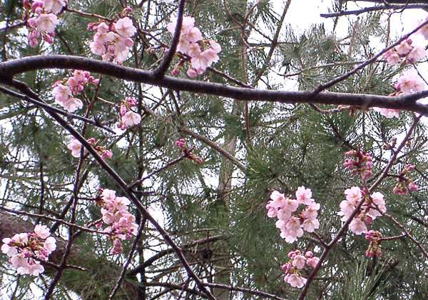 ���᡼�� 1