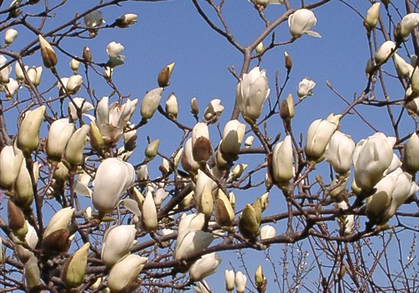 ���᡼�� 1