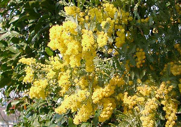 ���᡼�� 1