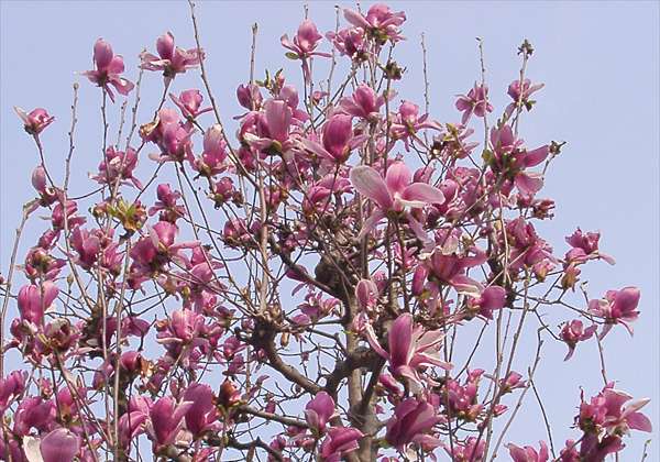 ���᡼�� 1