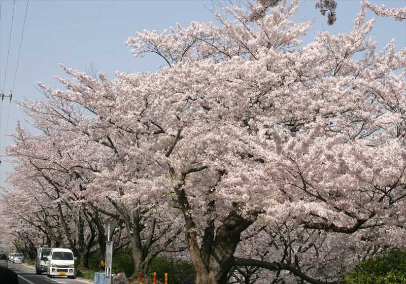 ���᡼�� 1