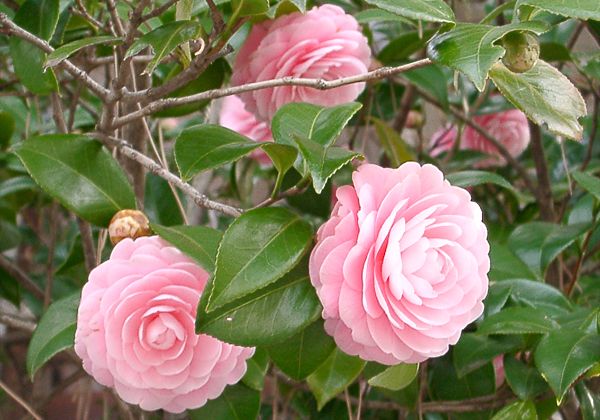 ���᡼�� 1