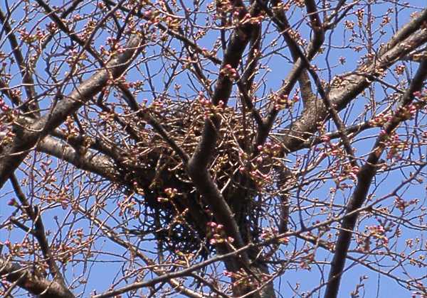 ���᡼�� 1