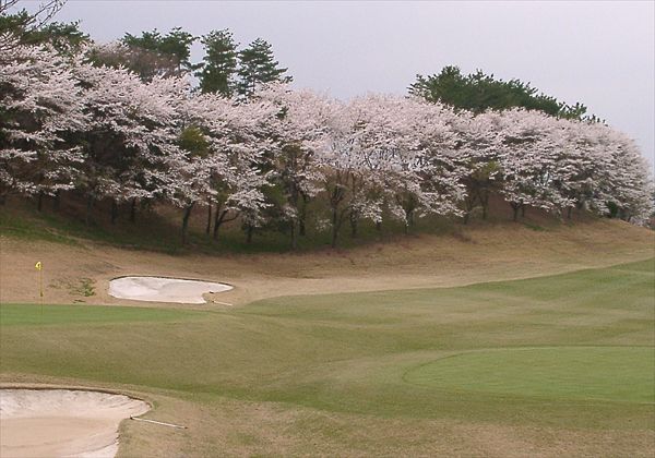 ���᡼�� 1